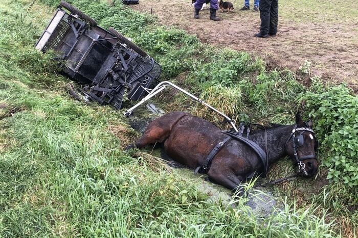 Paard en wagen valt in sloot