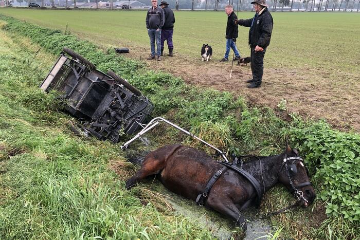 Paard en wagen valt in sloot