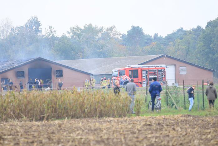 Felle uitslaande brand in stal met hooi