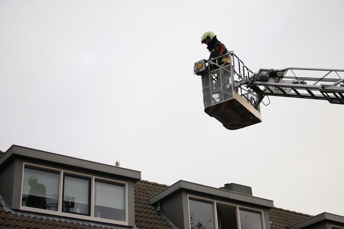 Brandweer redt kat van dak