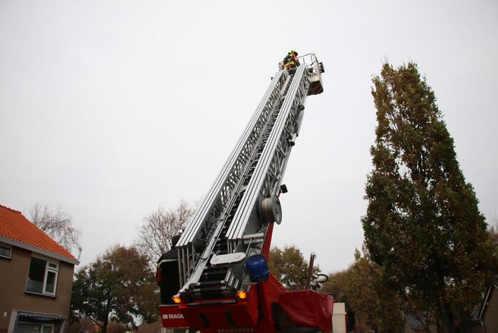 Brandweer redt kat van dak