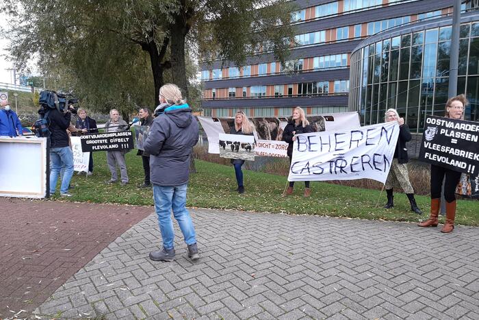 Demonstratie tegen slachten konikpaarden en heckrunderen Oostvaarderplassen