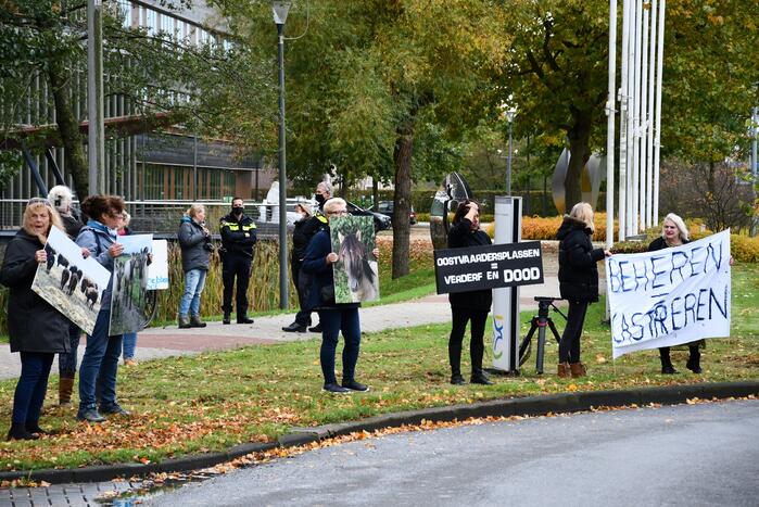 Demonstratie tegen slachten konikpaarden en heckrunderen Oostvaarderplassen