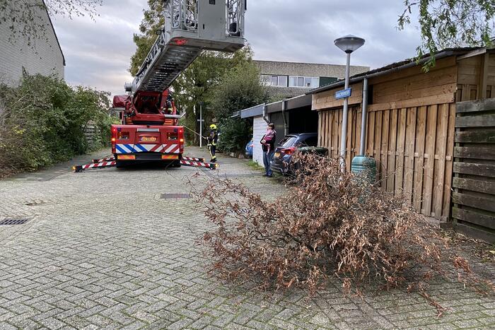 Gevaarlijke hangende tak zorgt voor onveilige situatie.