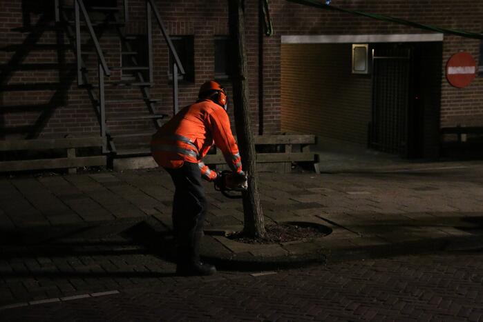 Boom dreigt op woningen te vallen