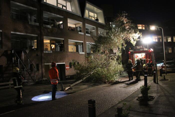Boom dreigt op woningen te vallen
