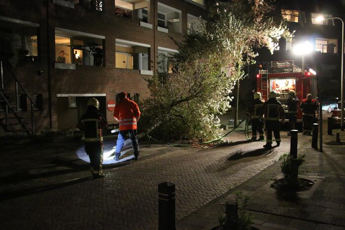 Boom dreigt op woningen te vallen