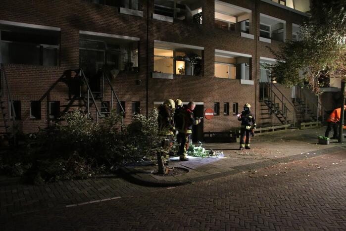 Boom dreigt op woningen te vallen