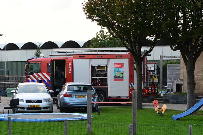 Brandweer haalt paard uit sloot