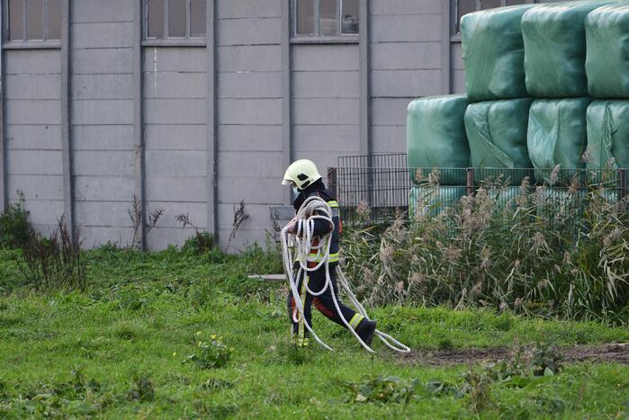 Brandweer haalt paard uit sloot