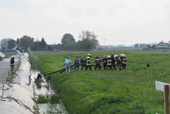 Brandweer haalt paard uit sloot
