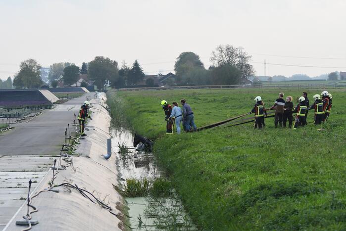 Brandweer haalt paard uit sloot