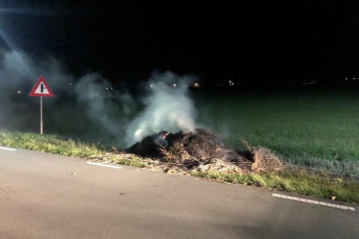 Bult gras in brand gevlogen