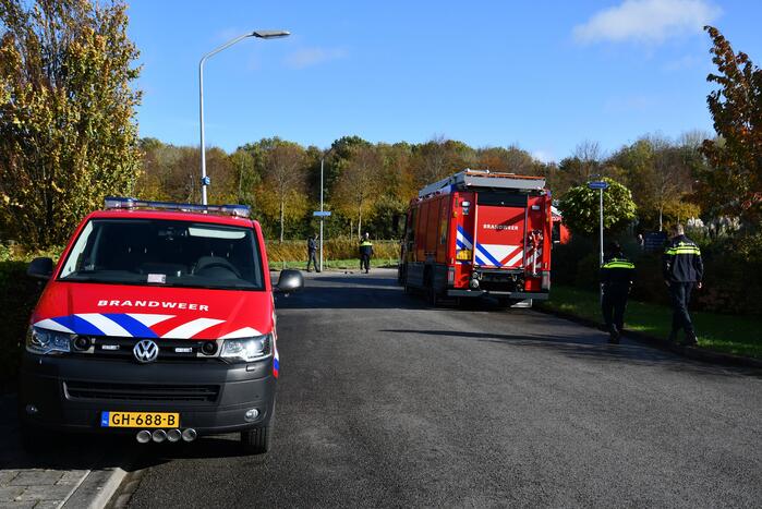 Brand in pand Pearl Paint Holland