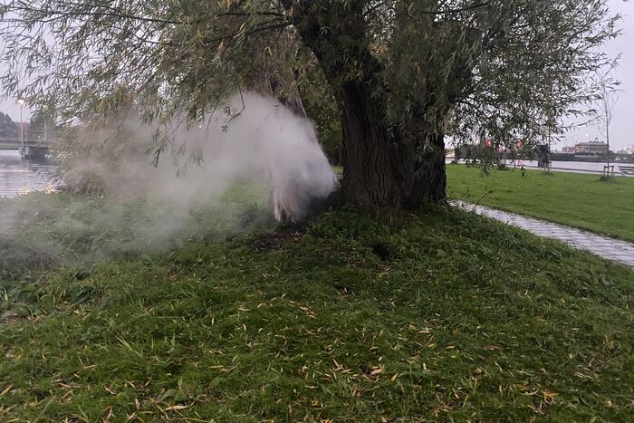 Brandweer blust brand in boom met emmer