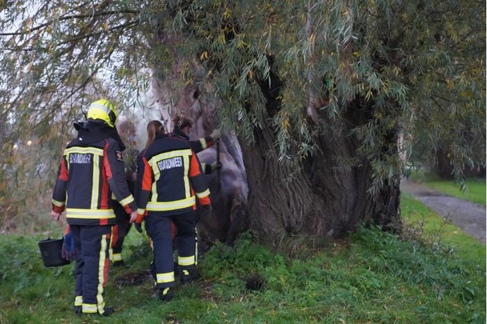 Brandweer blust brand in boom met emmer
