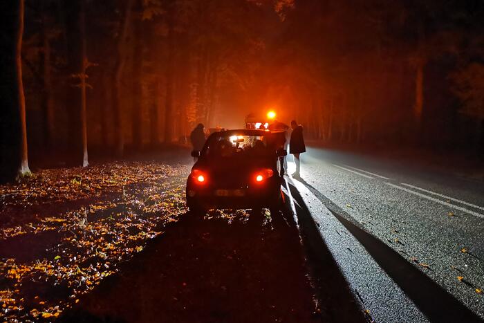 Persoon gewond na aanrijding met wild zwijn
