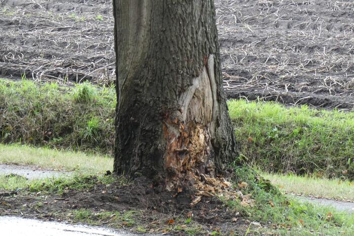 Personenauto lekt vloeistof na botsing tegen boom