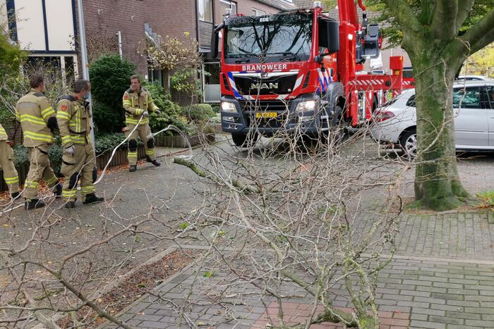 Brandweer verwijdert loshangende takken