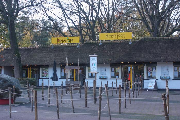 DierenPark Amersfoort ontruimd na gevaarlijke ontsnapping