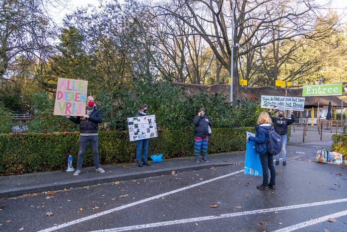 Protestactie tegen doodgeschoten chimpansees DierenPark Amersfoort