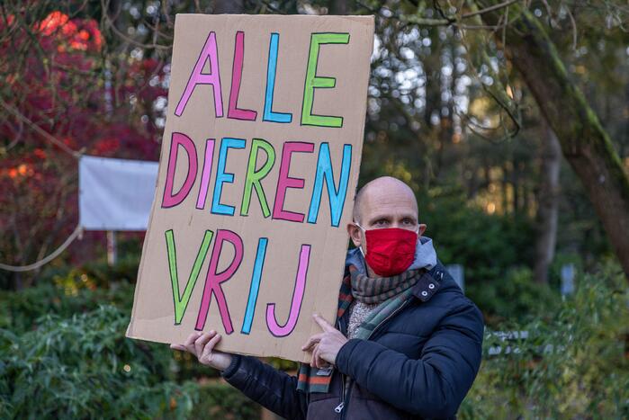 Protestactie tegen doodgeschoten chimpansees DierenPark Amersfoort
