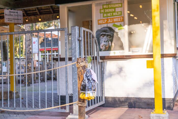 Protestactie tegen doodgeschoten chimpansees DierenPark Amersfoort