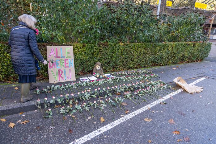 Protestactie tegen doodgeschoten chimpansees DierenPark Amersfoort