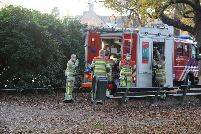 Brand in vuilnisbak snel geblust