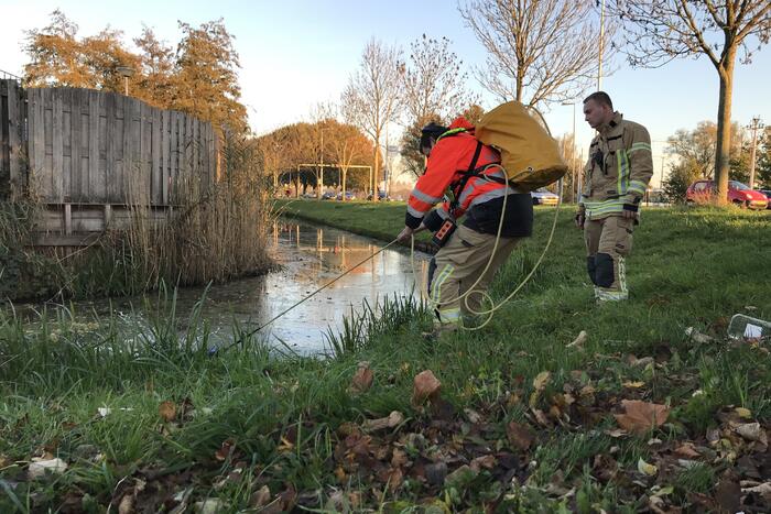 Grote zoekactie na vermissing van jongentje