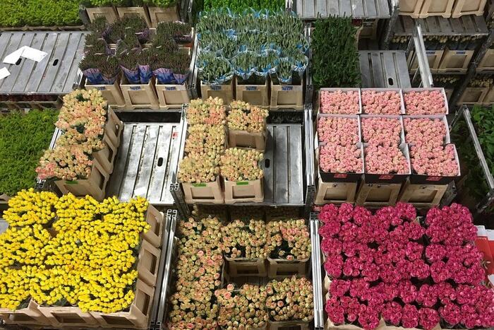 Boete van 30 000 euro voor bloemengroothandel
