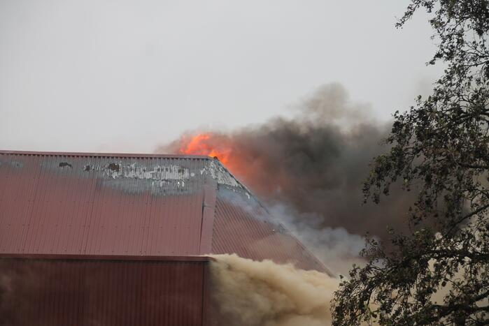 Sporthal Optisport De Schelft verwoest door brand