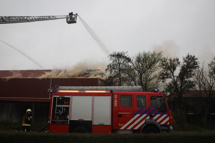 Sporthal Optisport De Schelft verwoest door brand
