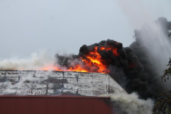 Sporthal Optisport De Schelft verwoest door brand