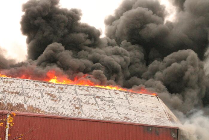 Sporthal Optisport De Schelft verwoest door brand