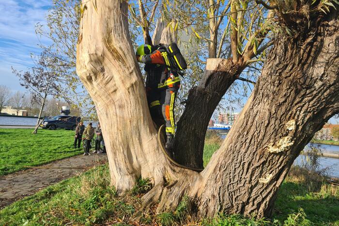 Boom mogelijk in brand door vuurwerk