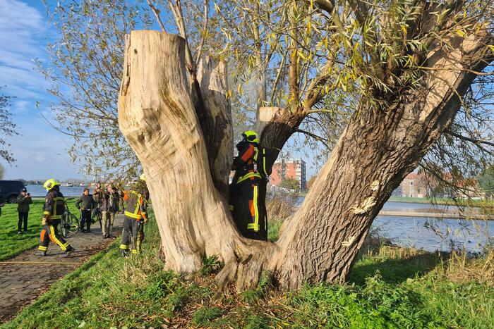 Boom mogelijk in brand door vuurwerk