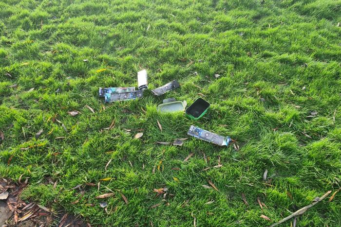 Boom mogelijk in brand door vuurwerk