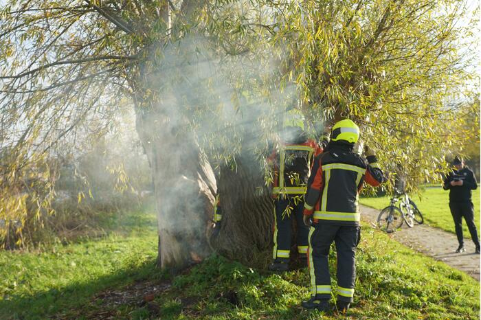 Boom mogelijk in brand door vuurwerk