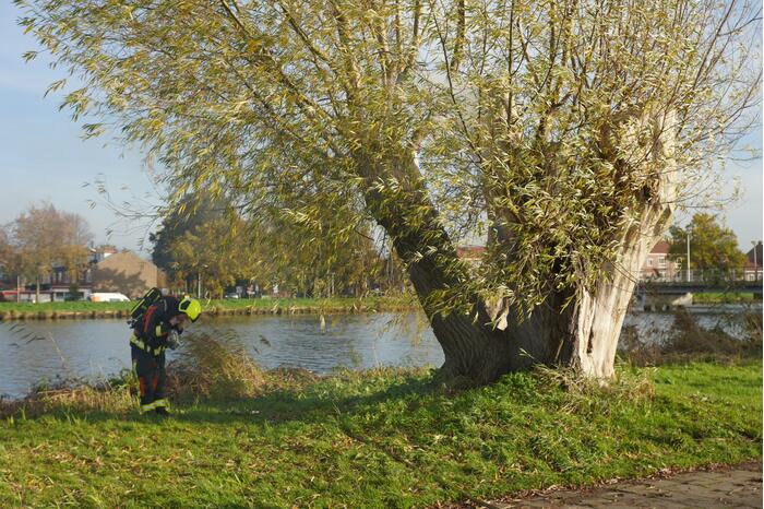 Boom mogelijk in brand door vuurwerk