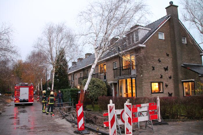 Bomen dreigen tegen woningen te vallen