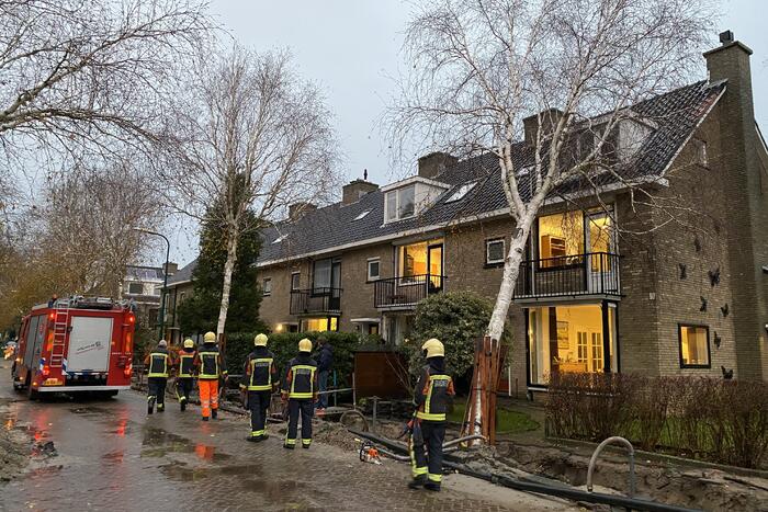 Bomen dreigen tegen woningen te vallen