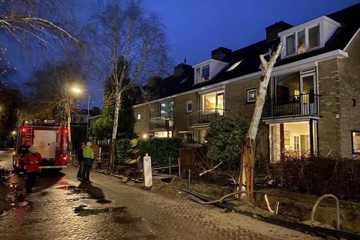 Bomen dreigen tegen woningen te vallen
