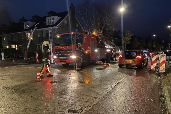 Bomen dreigen tegen woningen te vallen