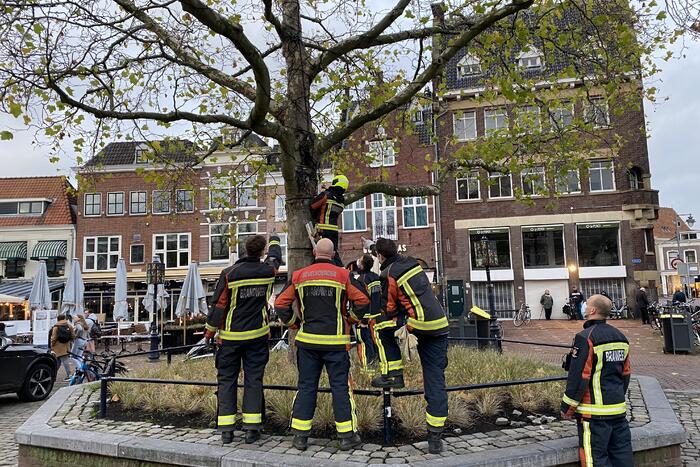 Kortsluiting in kerstverlichting