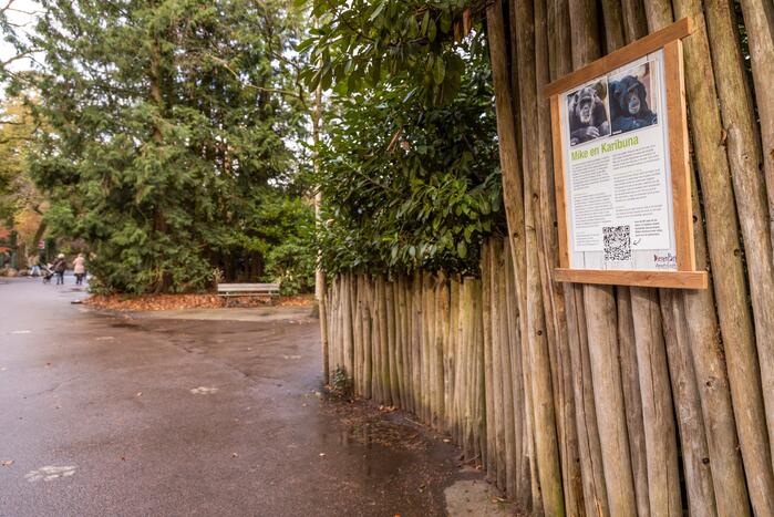 Dierenpark Amersfoort heeft haar deuren weer geopend