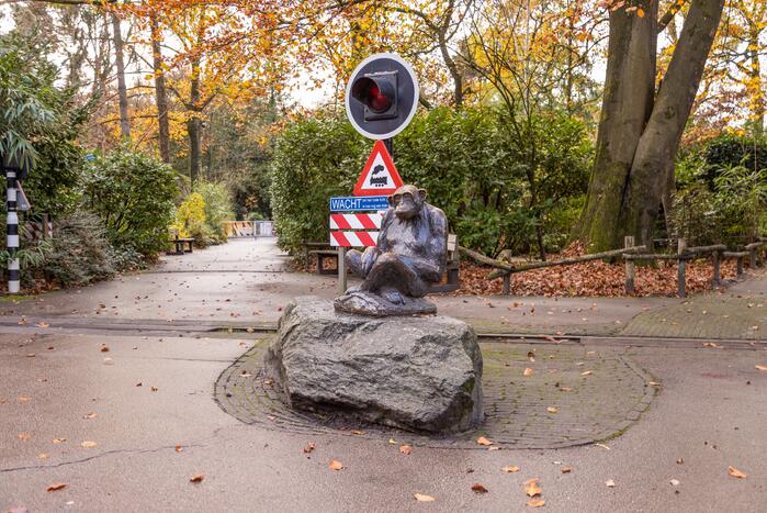 Dierenpark Amersfoort heeft haar deuren weer geopend