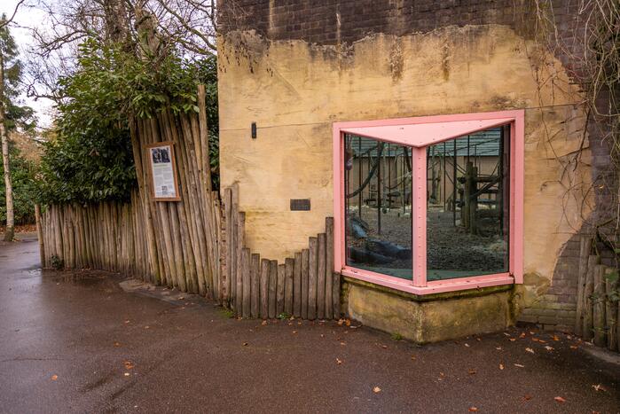 Dierenpark Amersfoort heeft haar deuren weer geopend