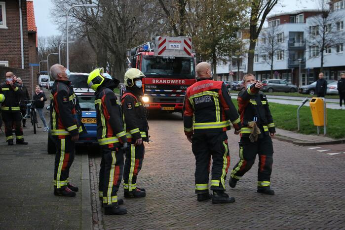 Brandweer red kat uit boom