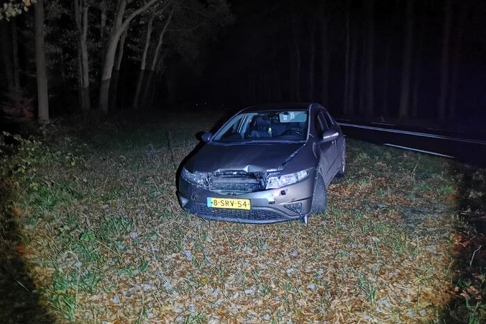 Wild zwijn overleden na aanrijding met auto